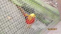 IMG_1255.jpg, 30kB